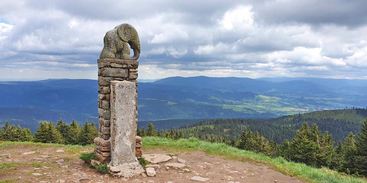 Nowe Sudecka Perla W Koronie Gor Polskich W Willi Sowiej